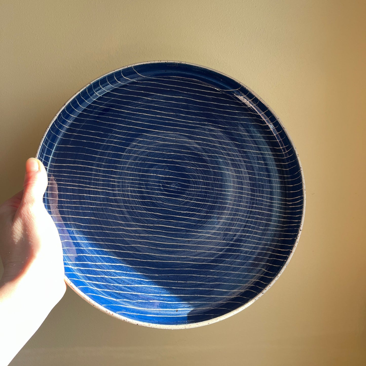 Large Piscine Plate